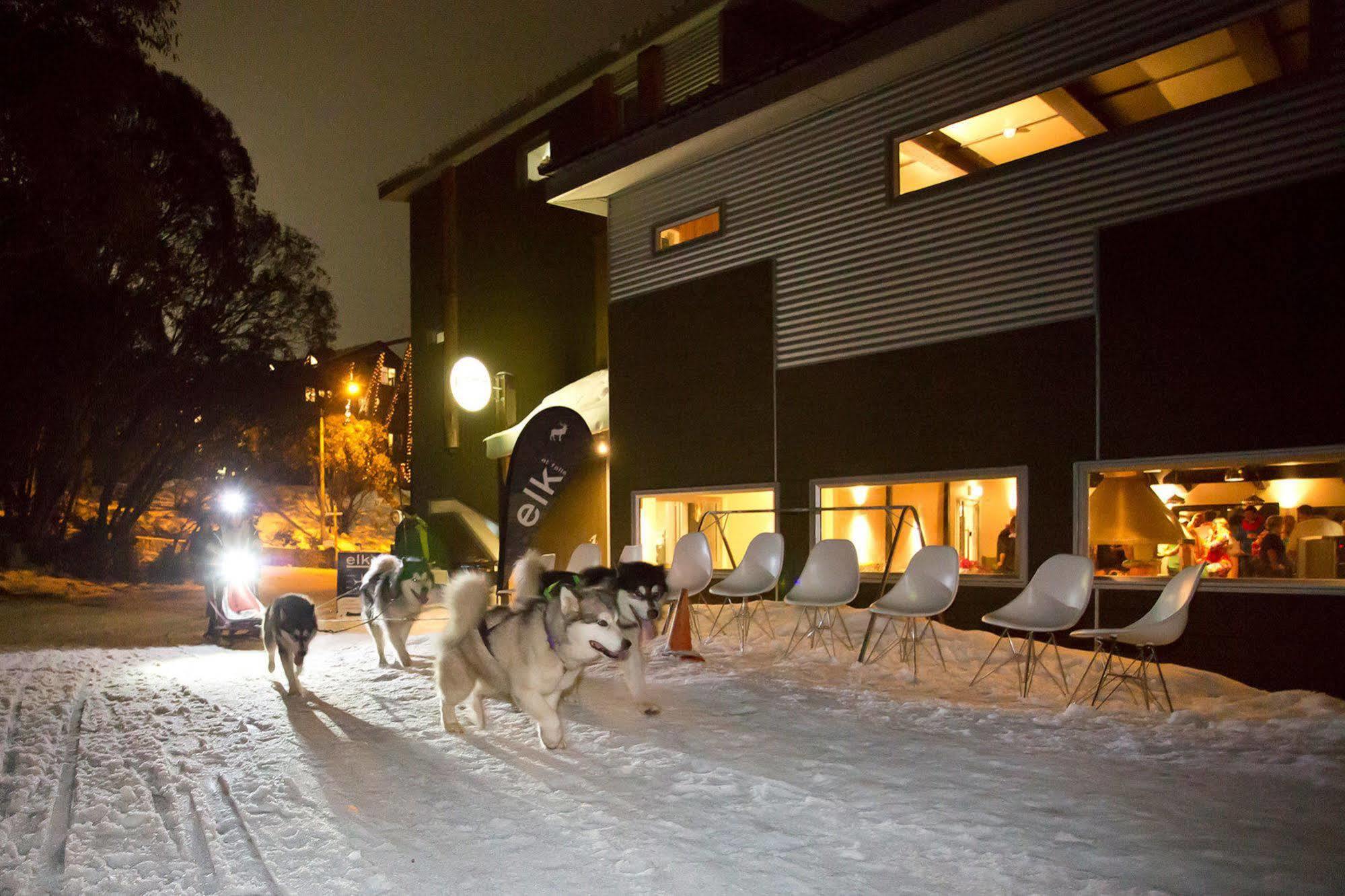 Elk At Falls Falls Creek Exterior photo